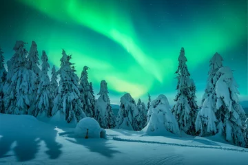 Snowy forest with igloo and Aurora borealis in night sky. Northern lights in winter mountains. Wintry scene with glowing polar lights and snowy icehouse. Christmas postcard