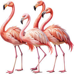 Obraz premium Graceful Pink Flamingos Vector Cutout for Design. Art & Illustration.