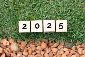 2025 Calendar Green Concept Image
