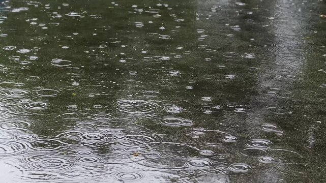 Slow motion puddle in the rain.
Rain on a puddle shot at 120fps.
