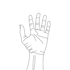 Fototapeta premium Human palm icon design, hand vector with different hand lines, palm vector