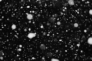 Snow falling on black background at night. Abstract backdrop with isolated snowflakes. Snowstorm in winter season