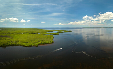 View from above of Florida everglades with green vegetation between ocean water inlets. Natural habitat of many tropical species in wetlands