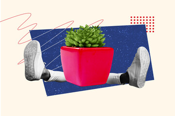Composite trend artwork sketch image photo collage of caricature bodyless anonymous legs shoes sit huge flower pot gardener nature