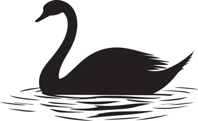 black swan isolated