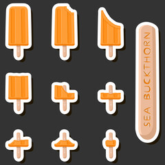 Big colorful set different forms natural dessert ice cream of consisting various ingredients