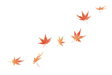 舞う紅葉　水彩　赤