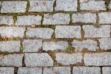 Obraz premium The background is a gray stone path with an irregular rectangular shape. Backgrounds, textures, design.