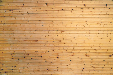Obraz premium The background is a wall of yellow boards with a beautiful pattern of a tree structure on a clear sunny day, texture backgrounds for graphic design. The wallpaper is abstract.