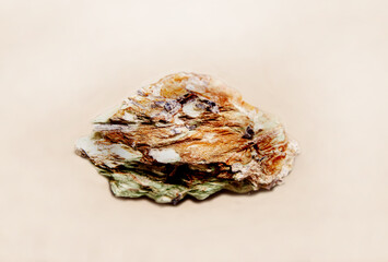 A piece of brown and white quartz mineral with beautiful crystals on a white background....