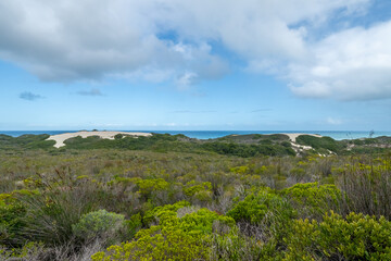 De Hoop Nature Reserve, Western Cape Province of South Africa