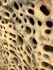 Sandstone rock along the cliffs.