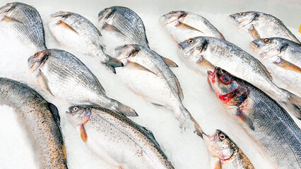 A variety of fresh fish displayed on a bed of ice at a seafood market.

