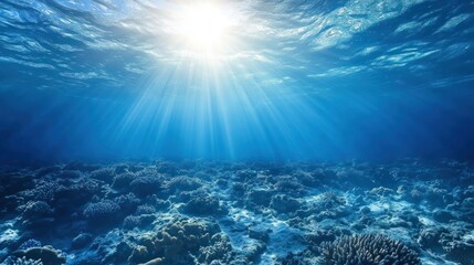 Obraz premium Beneath the waves, a serene underwater landscape illuminated by sunbeams, showcasing vibrant coral reefs.