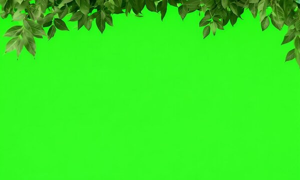Vibrant green leaves form a frame around the green screen, offering a perfect backdrop for creative and design projects