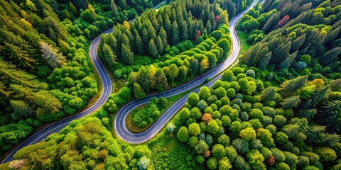 Aerial View of Winding Road Cutting Through Lush Green Forest Surrounded by Nature's Beauty