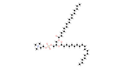 lecithin molecule, structural chemical formula, ball-and-stick model, isolated image e322