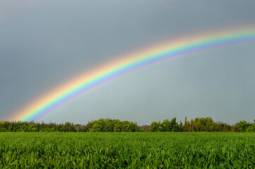 Naklejka premium A County Derry Rainbow in Northern Ireland 
