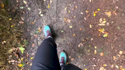 POV of walking on a muddy path in autumn with fallen leafs around. Legs of a woman with black pants and blue shoes.