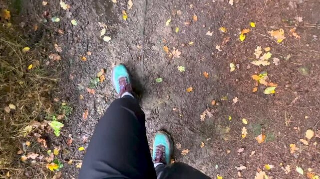 POV of walking on a muddy path in autumn with fallen leafs around. Legs of a woman with black pants and blue shoes.