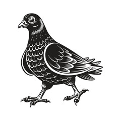 Dove pigeon silhouette vector art illustration EPS file .