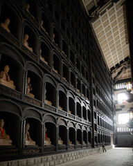 Fototapeta premium Echizen Daibutsu