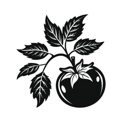 Tomato with leaf branch silhouette vector art Illustration .