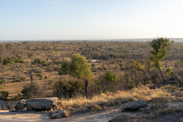 View of Kruger National Park, South Africa