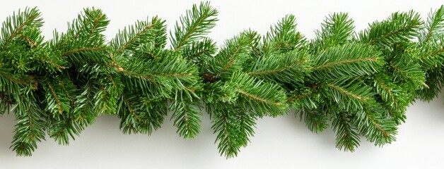 Obraz premium The leaves of a Christmas garland are isolated on a transparent background.