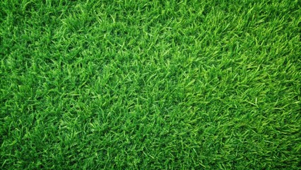 Detailed Green Grass Background Lawn Texture for Nature Themed Designs