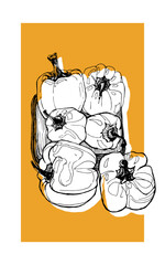 Sweet line pepper sketch. Vector illustration. Doodle style. Design element for recipes, menu, poster.