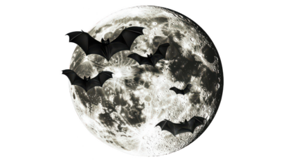 Bats Flying Against a Full Moon