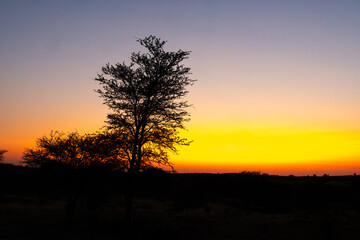 Sunset at Kgalagadi Transfrontier Park, South Africa