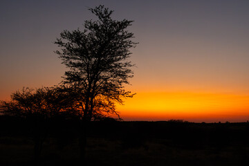 Sunset at Kgalagadi Transfrontier Park, South Africa