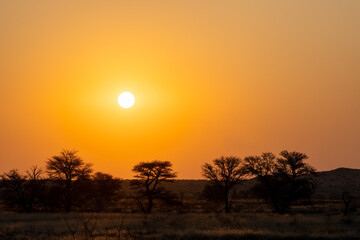 Sunset at Kgalagadi Transfrontier Park, South Africa