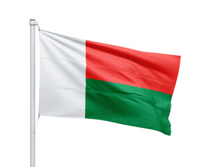 Madagascar national flag on white background.