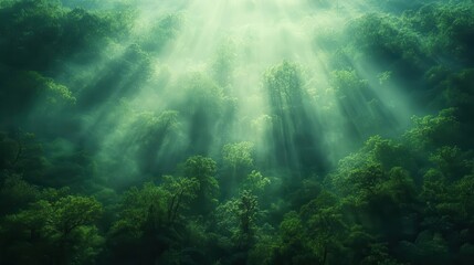 misty forest canopy illuminated by soft morning light creating a serene atmosphere ideal for ecofriendly designs and naturethemed artwork