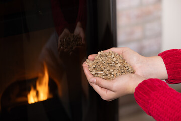 Woman filling a pellet stove