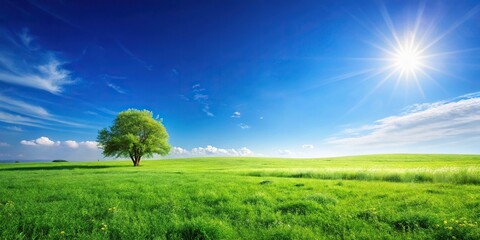 peaceful meadow, clear blue sky, happiness, tranquility