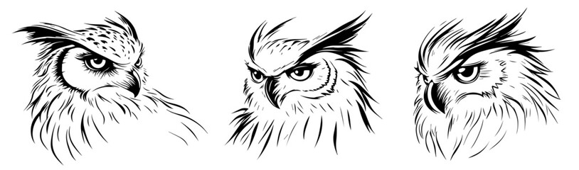 black and white owl sketches in profile view
