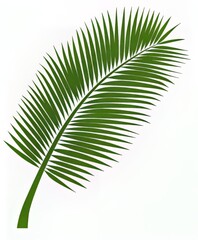 Obraz premium Vibrant green palm leaf against a clean white background.