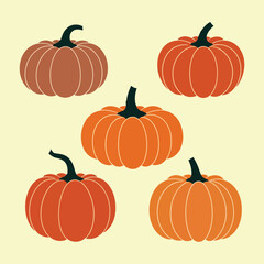 Set of pumpkins in various shapes sizes and colors