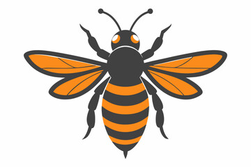 illustration of a bee