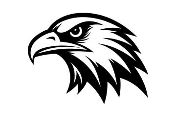 eagle head vector illustration