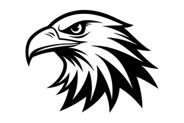eagle head vector illustration
