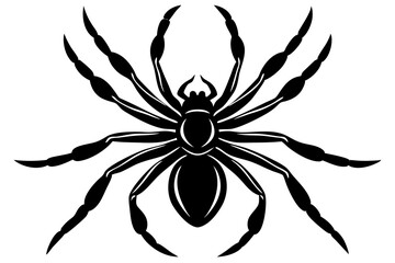 black and whiteSpider silhouette vector on  white background 