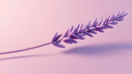 lawenda, fioletowy, pastelowy, minimalistyczne, roślina, zbliżenie, liliowe tło, pastel, delikatne, prostota, minimalizm, kwiat, zieleń, relaks, lawenda na pastelowym tle, minimalistyczne tło, natura,