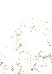 Holiday golden decoration, glitter frame isolated -