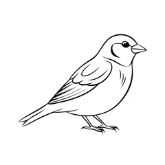 Obraz premium Stylized Black and white bird illustration with simple lines, simple vector monochrome