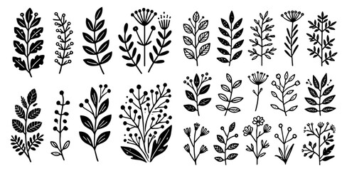 Fototapeta premium hand drawn twigs and leaves decorative decorative plants